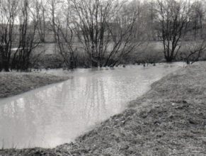 Plné rameno potoka na mostě v Dolních Vlčkovicích. V létě zde teče jen potůček vody.