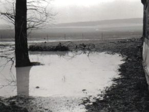 Zatopený pozemek u čp. 46 v Dolních Vlčkovicích. V pozadí proud vody se valí od lesa.