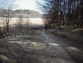 Pohled směrem na sever, na rozcestí Choustníkovo Hradiště - Kohoutov, které však na fotografií není vidět.