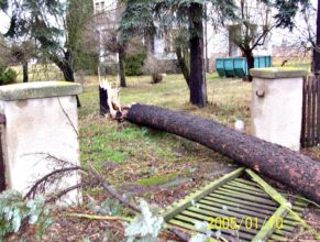 Spadlý strom, který zaterasil cestu z bývalého JZD.
