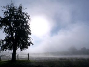 Mlha v Horních Vlčkovicích.