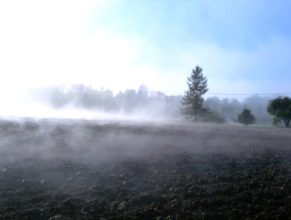 Mlha v Horních Vlčkovicích.
